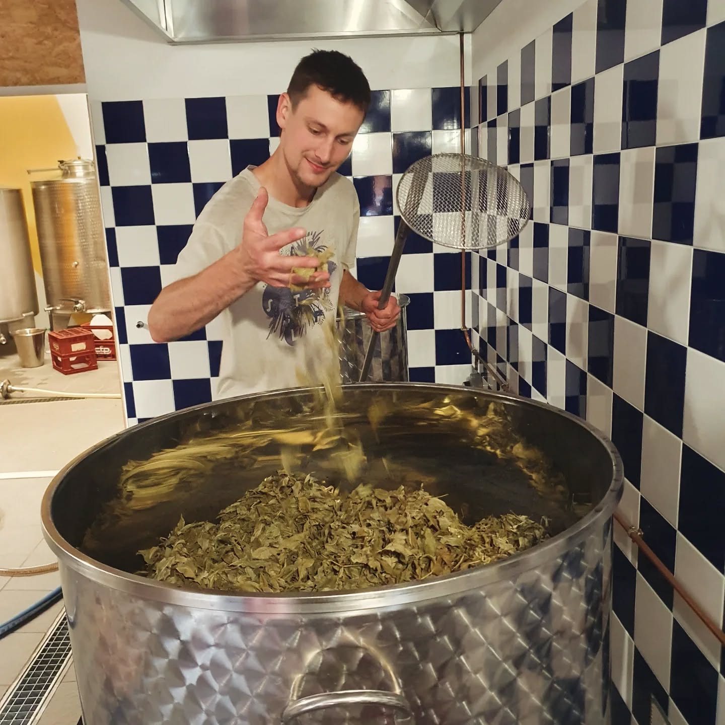 Visite et Dégustation à la fabrique d'apéritifs ALAVOSTRA